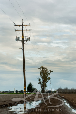Damp Fields and Power Lines
