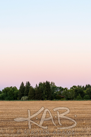 Harvested Field at Sunset