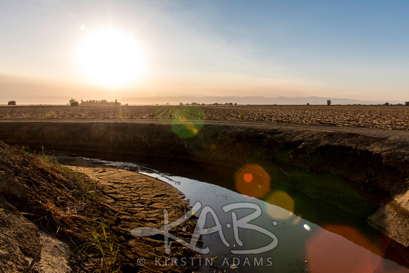 Irrigation Canal and Tilled Field at Sunset