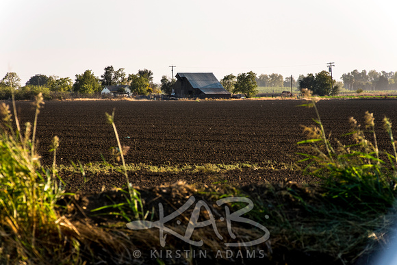 Barn and Tilled Field