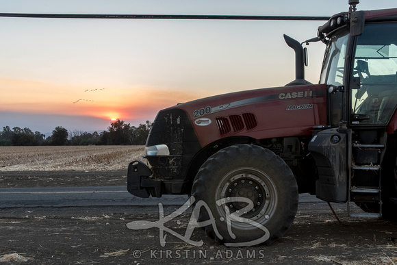 Tractor and Sunset