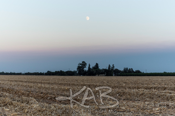 Harvested Field and Moonrise