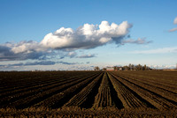 Tilled Field and Clouds