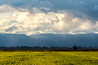 Green Fields and Berryessa Mountains
